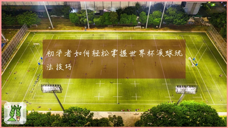初学者如何轻松掌握世界杯滚球玩法技巧